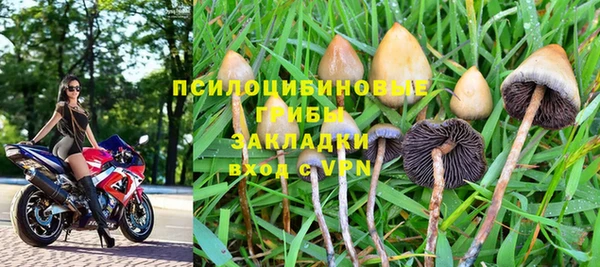 гашик Алексин