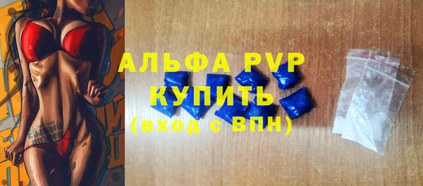гашик Алексин