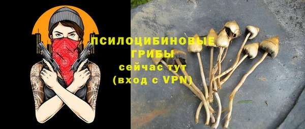 а пвп мука Армянск