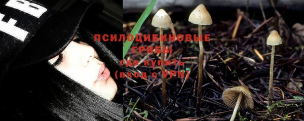 гашик Алексин