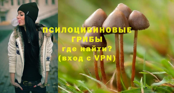 гашиш Арсеньев