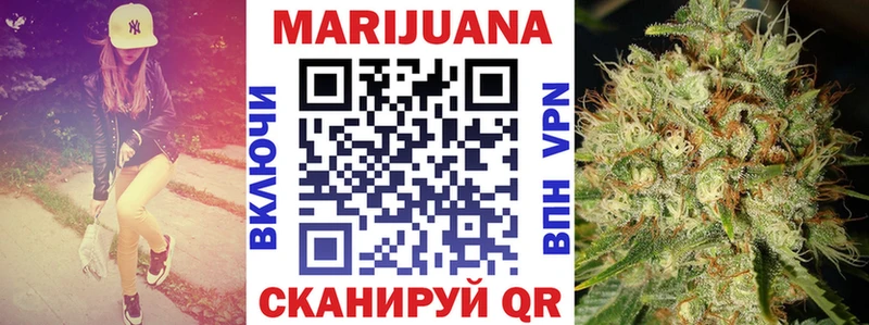 Бошки марихуана THC 21%  гидра ссылка  Новороссийск  наркотики 