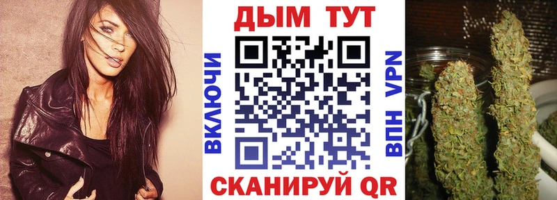 Шишки марихуана конопля Новороссийск